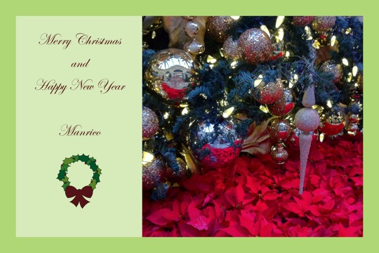 Xmas2011